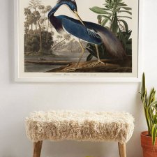 Ptak vintage | 50x70 cm