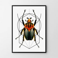 Plakat Geometria Robak 30x40 cm