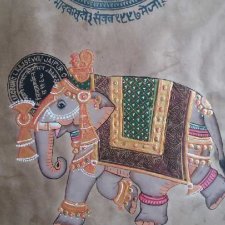 indyjski słoń