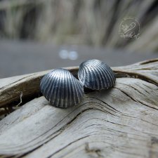 Scallop Earrings