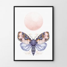 Plakat motylek, motyl 50x70cm B2