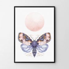 Plakat motylek, motyl 30x40 cm