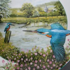 Royal Doulton 1989 by Kenneth J. Wood -birds of the british countryside -  the riverside  kingfisher - bradex - kolekcjonerski talerz porcelanowy