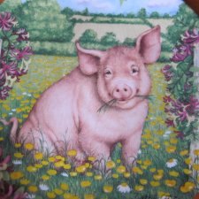 Royal Doulton 1997 - Buttercup by Debbie Cook a charming ' temworth' in the ' pigs in bloom' collection kolekcjonerski talerz porcelanowy