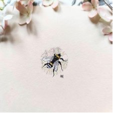 Pszczoła, botanical illustration, miniatura