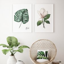 Zestaw plakatów monstera magnolia 50x70 cm