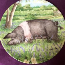 Royal Doulton 1997 -Bluebell  by Debbie Cook a charming ' hampshire ' with  her piglets  in the ' collection kolekcjonerski talerz porcelanowy z certy