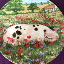 Royal Doulton 1997 - Poppy by Debbie Cook a charming ' hampshire ' with  her piglets  in the ' collection kolekcjonerski talerz porcelanowy z certy