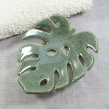 Monstera mydelniczka