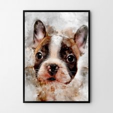 Plakat buldog pies abstrakcja 40x50
