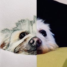 Zamów PORTRET A4 zwierzaka malowany akwarelami ze zdjęcia