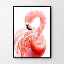 Plakat Flaming  - plakat 40x50 cm