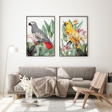 Zestaw plakatów obrazów papugi w kwiatach A3