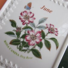 Portmeirion  BOTANIC GARDEN - JUNE - ROSA  CANINA -DOG ROSE -SUSAN WILLIAMS ELLIS -PORCELANOWA RAMKA