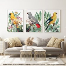 Zestaw 3 plakatów kwiaty, retro, papugi - format 50x70 cm