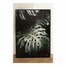 Monstera - liść monstery 50/70 - Plakat Kuklafotografia