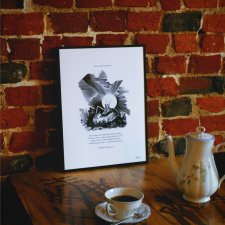 Plakat Konik polny czarno-biały 30x40 cm