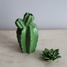 Komplet wazon kaktus i sukulent