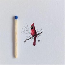 Ptak, Kardynał szkarłatny, miniatura, Nature Journal, Natural history