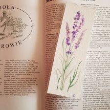 Zakładka do książki-Lawenda
