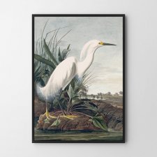 Plakat Biały Ptak Vintage A3 - 29,7x42 cm