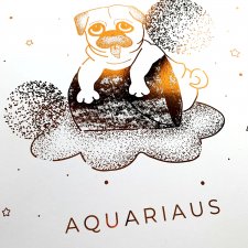 AQUARIAUS - MIEDZIANY PLAKAT (21x30)