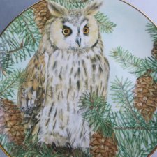 the british Owls collection -  Royal kendal - sheila mannes abbott - the long earred owl -Rzadko spotykany  kolekcjonerski talerz porcelanowy