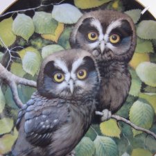 DANBURY MINT -NESTLING OWLETS - DUSKY DUO  by Robert Hersey - KOLEKCJONERSKI TALERZ PORCELANOWY