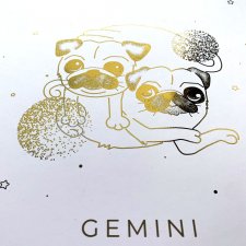 GEMINI - ZŁOTY PLAKAT (21x30)