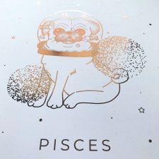 PISCES - ROSE GOLD PLAKAT (21x30)