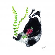 borsuk ilustracja