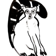 Lemur ilustracja