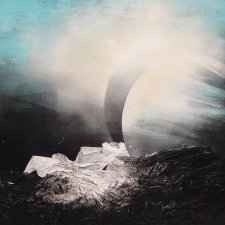 Callainus confusio/Neptun(IV)