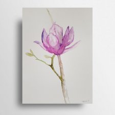 Magnolia I- obraz  akwarela
