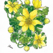 Wiosenne kwiaty: rannik - akwarela i tusz, oryginał