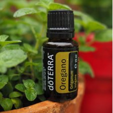 Olejek eteryczny DoTERRA - Oregano - 15 ml