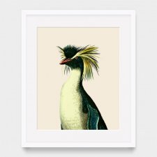 Retro Zoo plakat A4 - wintydżowy pingwin w nowoczesnej odsłonie