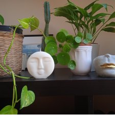 Face candle wosk sojowy