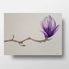 Magnolia II- obraz  akwarela