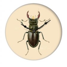 Szklany zegar Insect II