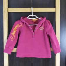 Bluza dziecięca R: 18mcy