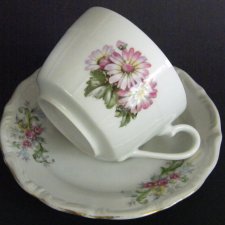 Filiżanka i talerzyk, porcelana kwiatowe wzory