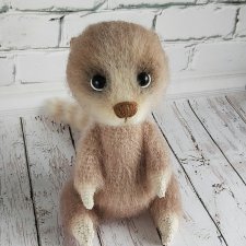Lemur Lucas