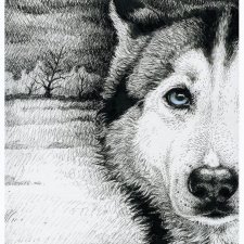 Husky - Wydruk Fine Art A4, limitowana edycja