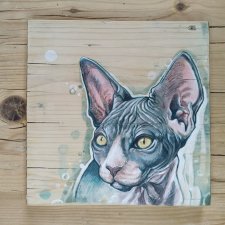 Kot sfinks - ręcznie malowany obraz na drewnie