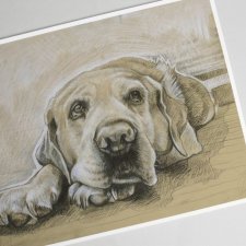 Labrador, wydruk Fine Art A4, limitowana edycja
