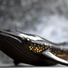 WIELORYB