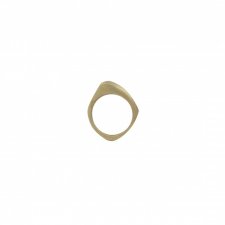 BLADE / brass ring