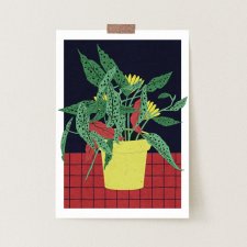 Begonia, plakat botaniczny, ilustracja A3 lub 30x40 cm