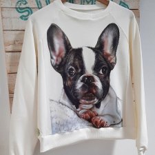 Bluza z buldogiem francuskim